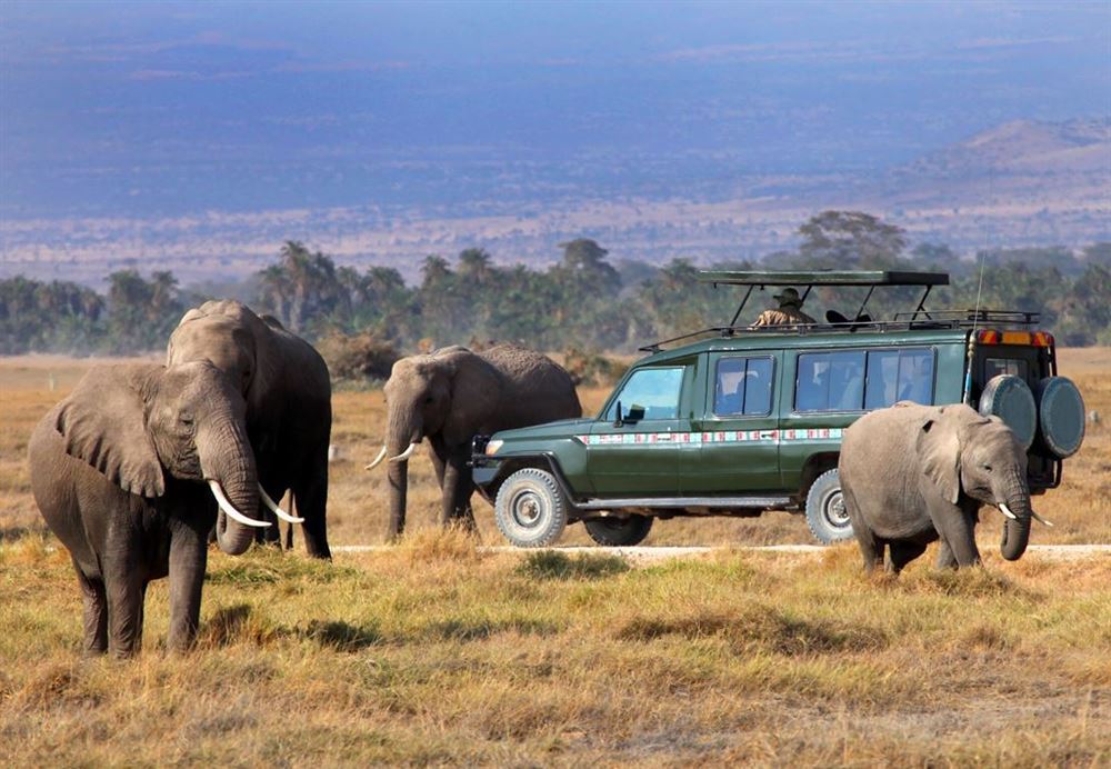 North Safari - Classic Tanzania